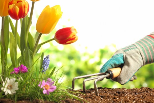 A close-up view of a gardening scene in a garden with a variety of blooming flowers, including red and yellow tulips, pink daisies, and purple grape hyacinths, situated alongside a patch of fresh, dark soil. A gardener's hand, wearing a grey glove with a striped cuff, is holding a small hand rake and working the soil near the flower bed. The background is blurred, showing lush green foliage and natural daylight, indicating a bright, pleasant day ideal for outdoor gardening activities in Blackheath. The scene highlights typical elements of garden maintenance, such as flower planting and soil aeration, reflecting professional gardening services aimed at enhancing outdoor spaces.