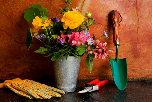 Spring garden clean-up in Blackheath with blooming plants